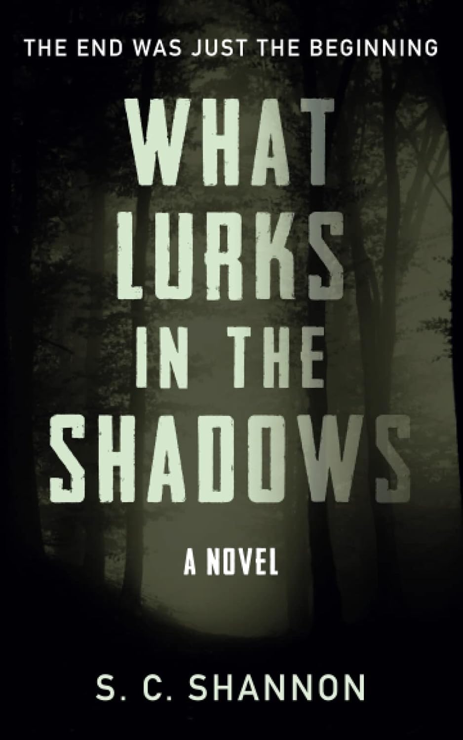What Lurks in the Shadows poster