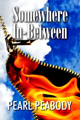 Somewhere In Between poster