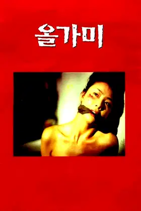 The Hole poster