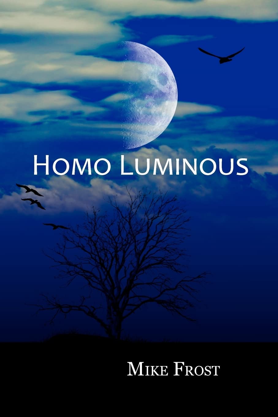 Homo Luminous poster