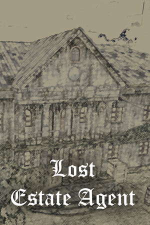 Lost Estate Agent poster