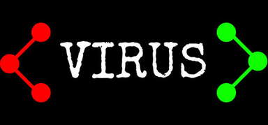Virus capsule