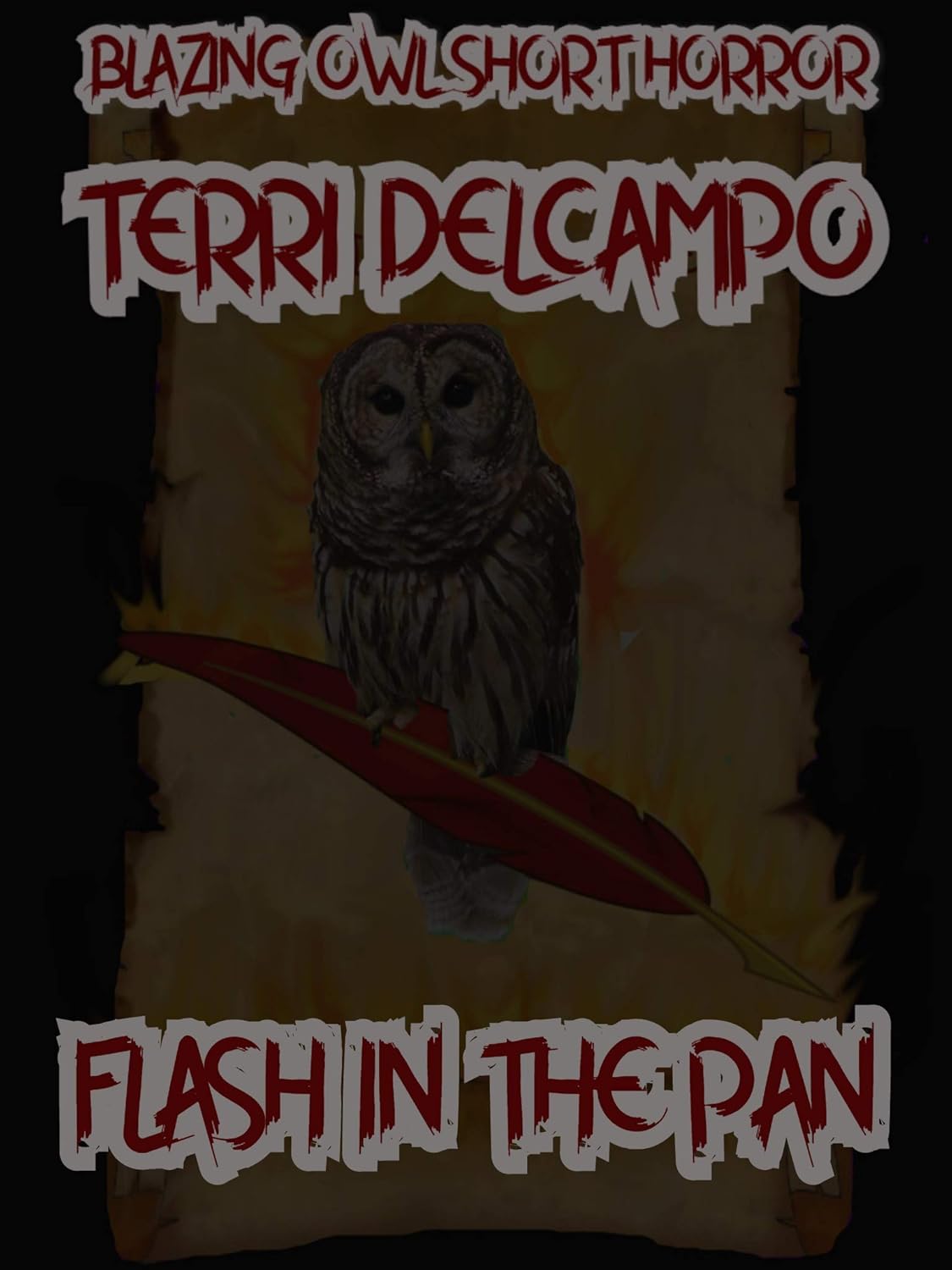 Blazing Owl Short Horror - A Flash in the Pan poster