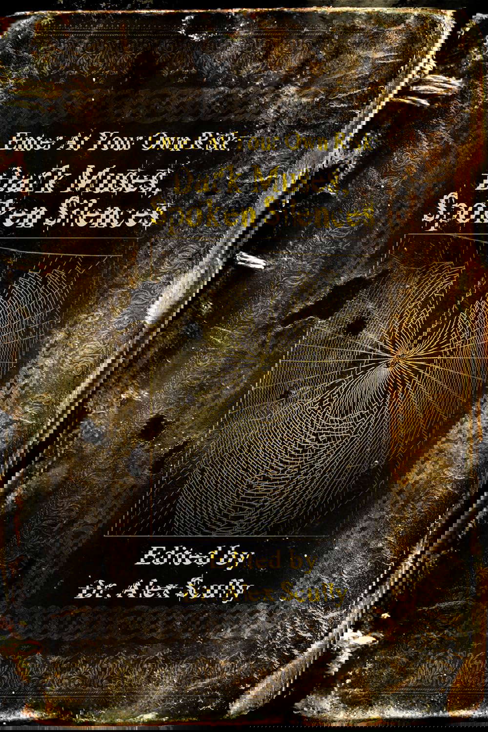 Enter At Your Own Risk: Dark Muses, Spoken Silences poster