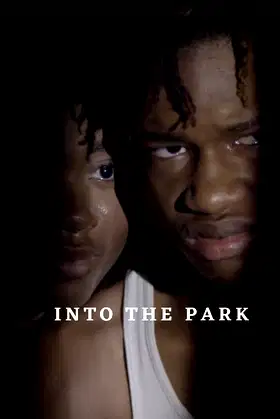 Into the Park poster
