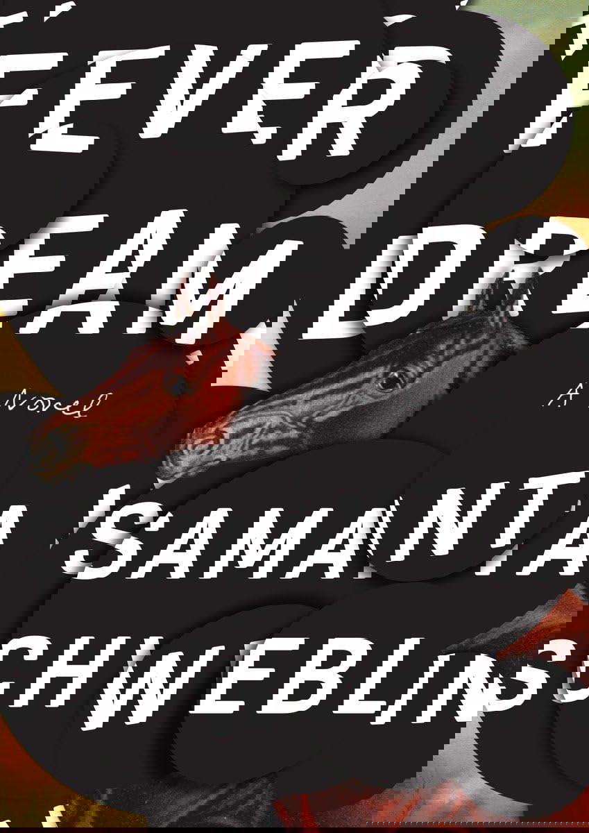 Fever Dream: A Novel poster