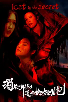 消失的航班，还有她她她！Lost in the secret! poster