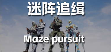 Maze pursuit capsule