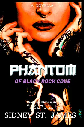 Phantom of Black Rock Cove (Gideon Detective) poster