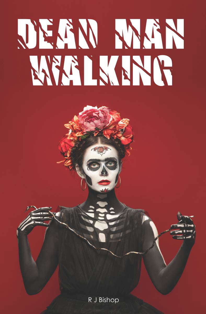 Dead Man Walking poster