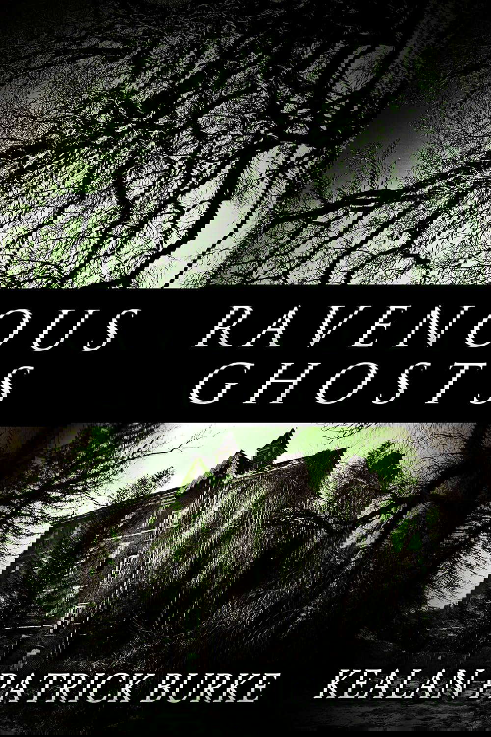 Ravenous Ghosts poster