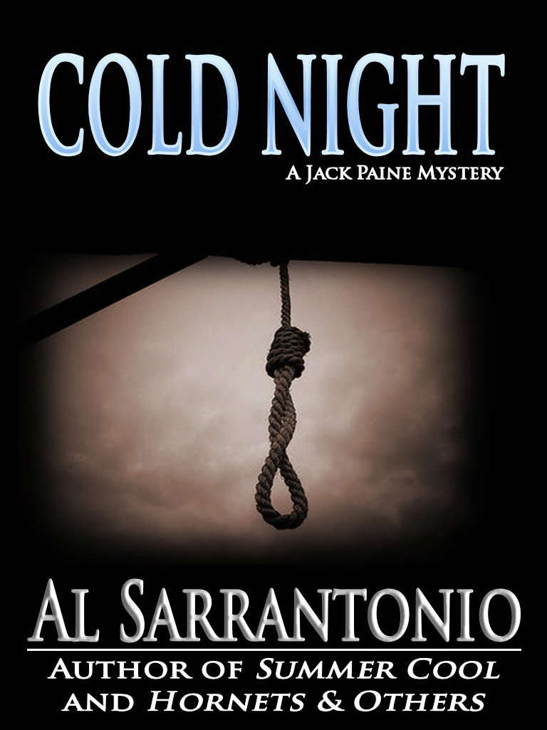 Cold Night (Jack Paine Mysteries Book 2) poster
