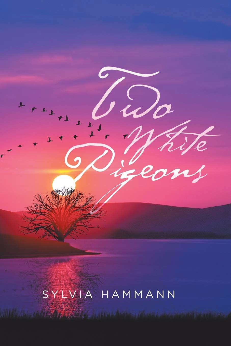 Two White Pigeons poster