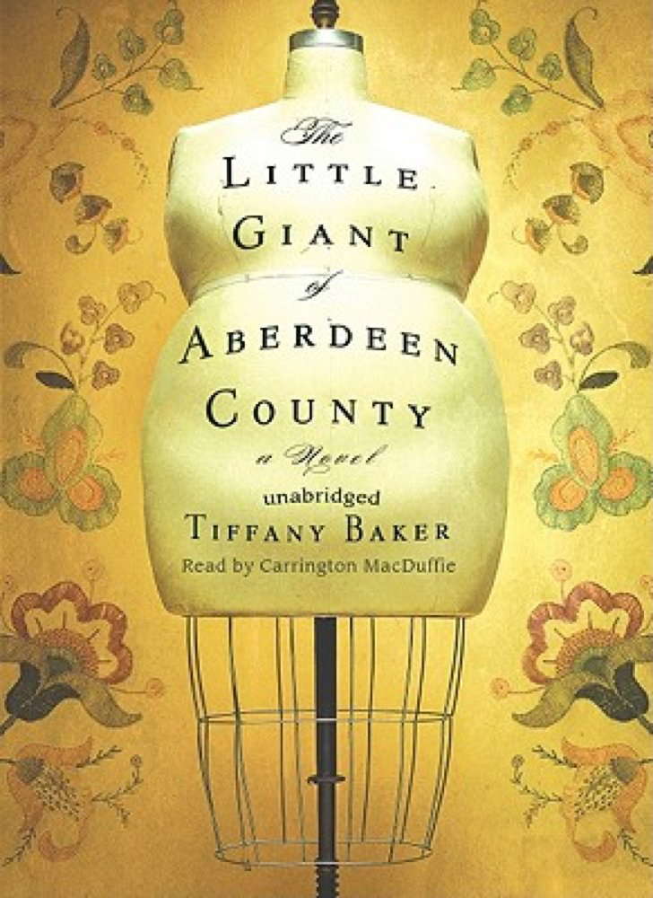 The Little Giant of Aberdeen County poster