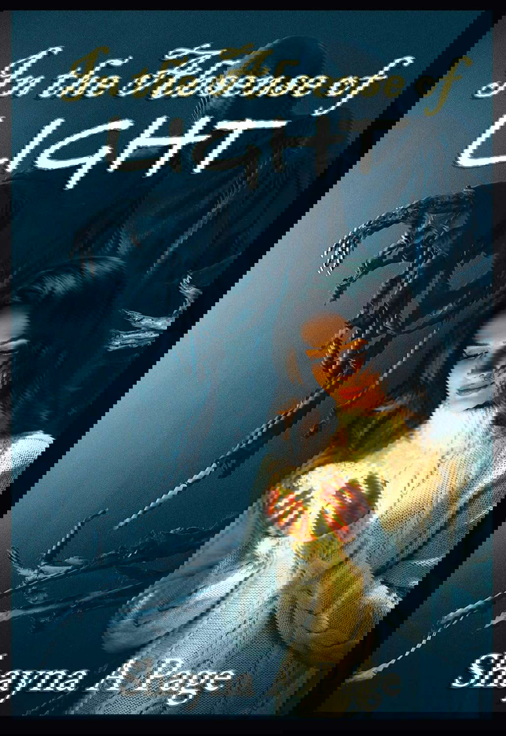In the Absence of Light poster