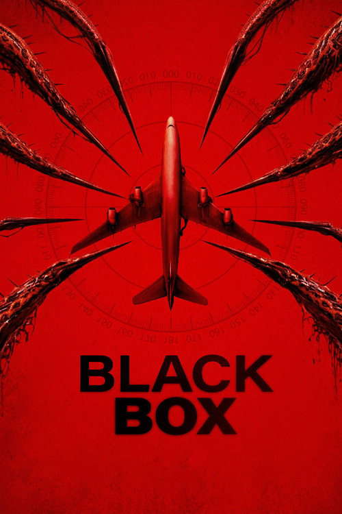 Black Box (Flight 298) poster