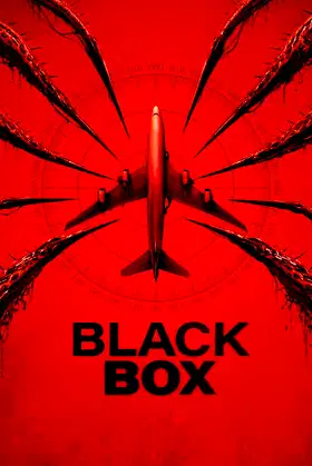 Black Box (Flight 298) poster
