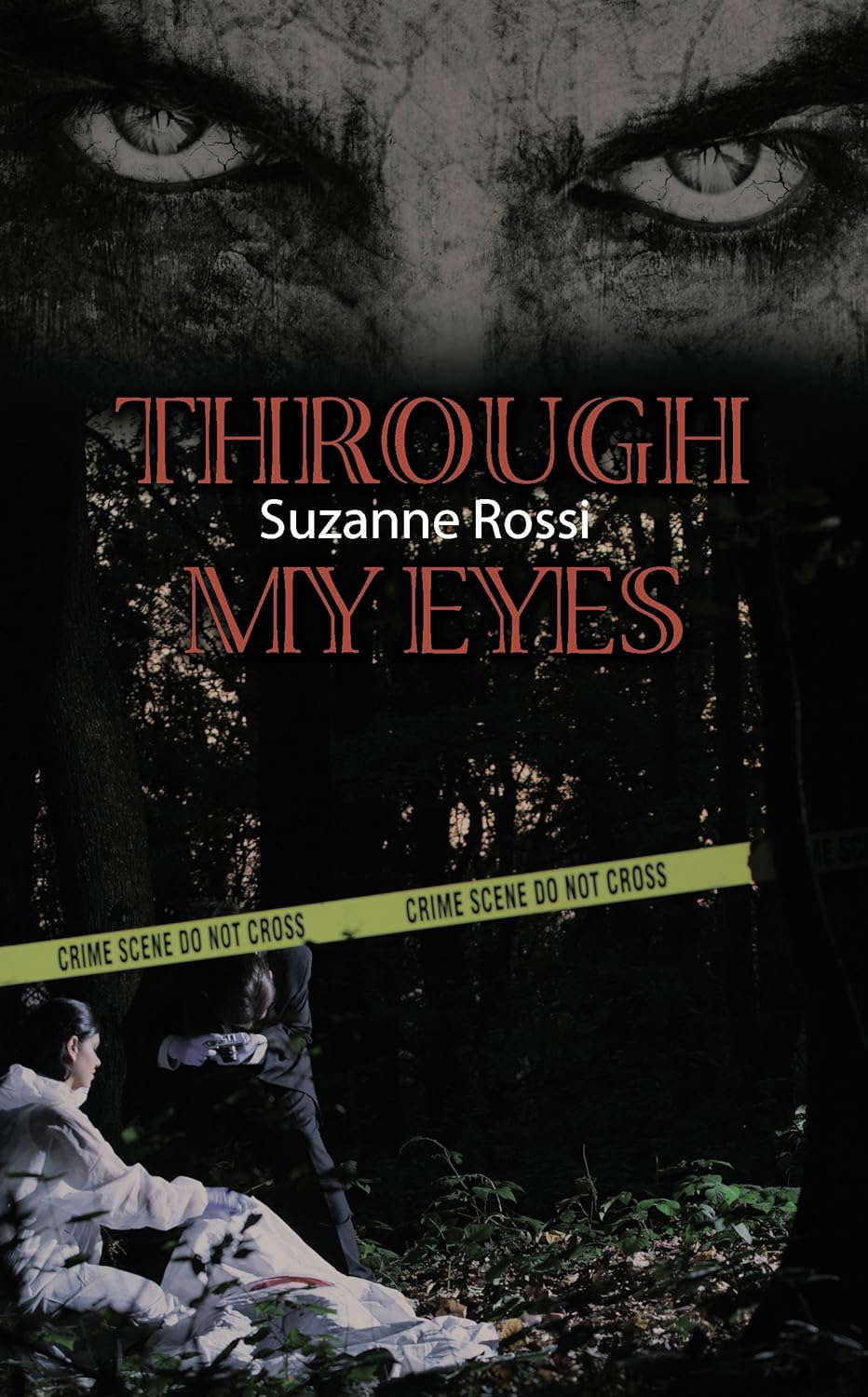 Through My Eyes poster