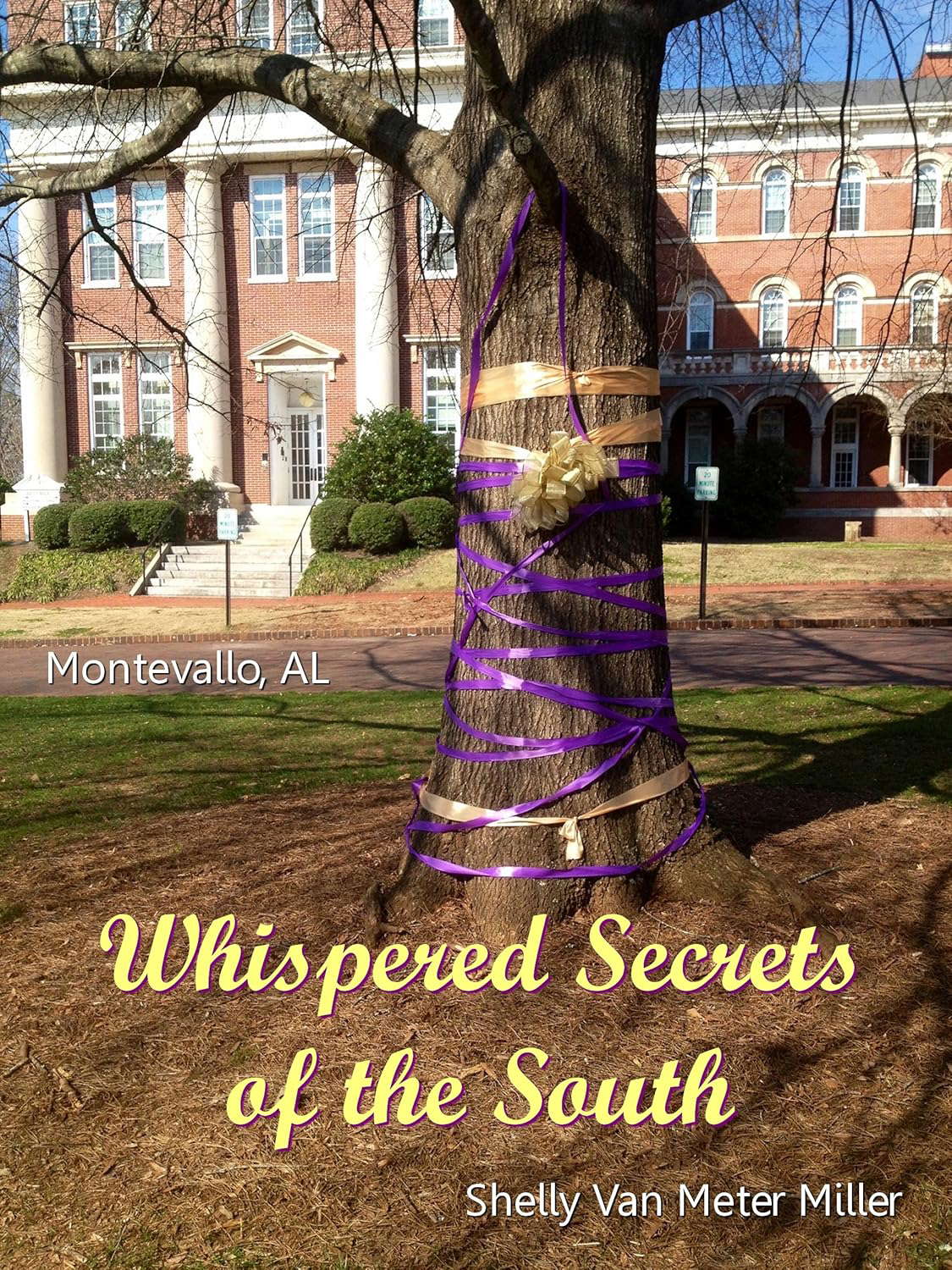 Whispered Secrets of the South: Montevallo, Alabama poster