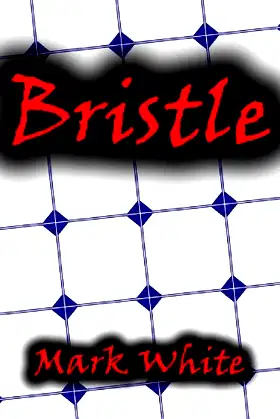Bristle - A Short Story poster