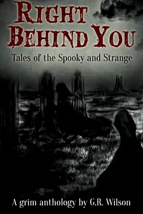 Right Behind You: Tales of the Spooky and Strange poster