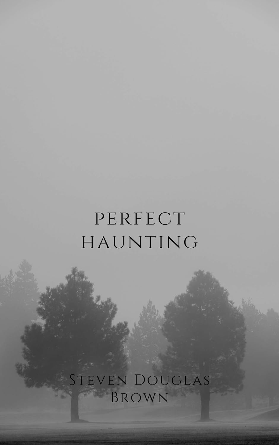 PERFECT HAUNTING (Perfect Stories) poster