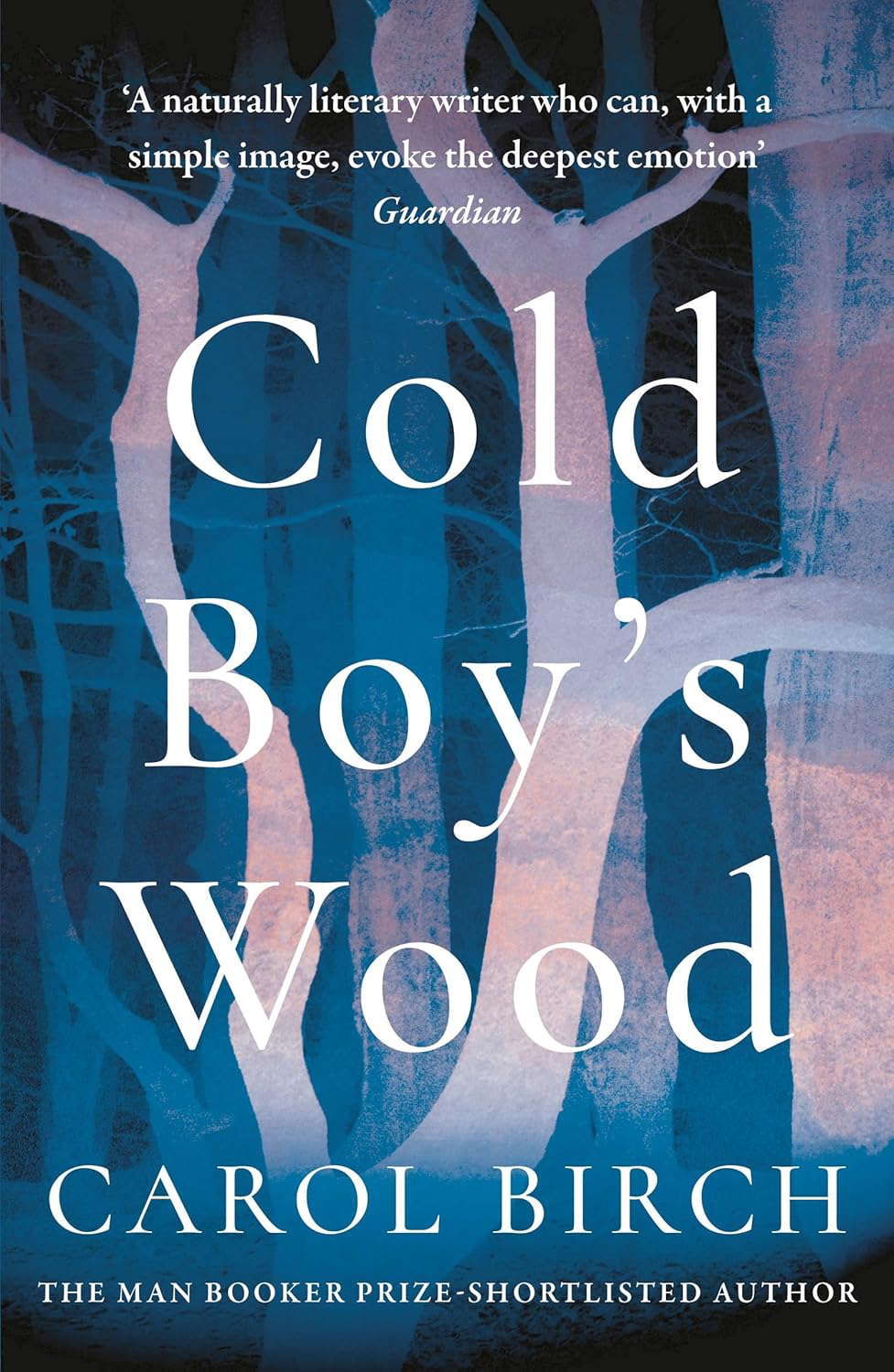 Cold Boy's Wood poster