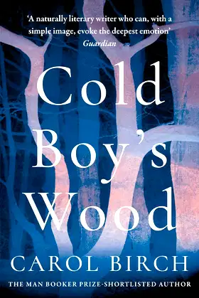 Cold Boy's Wood poster