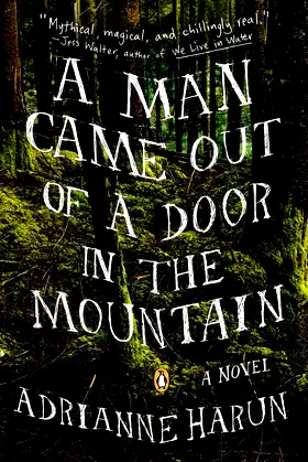 A Man Came Out of a Door in the Mountain poster
