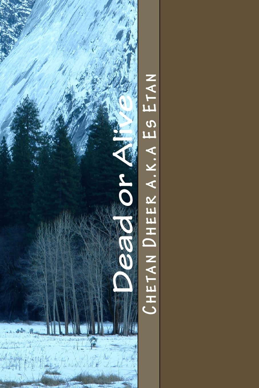 Dead or Alive poster