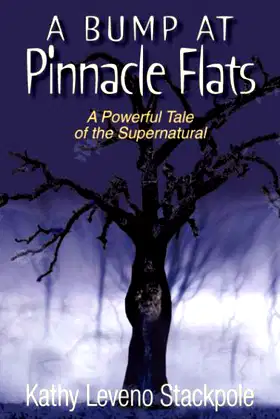 A Bump at Pinnacle Flats poster