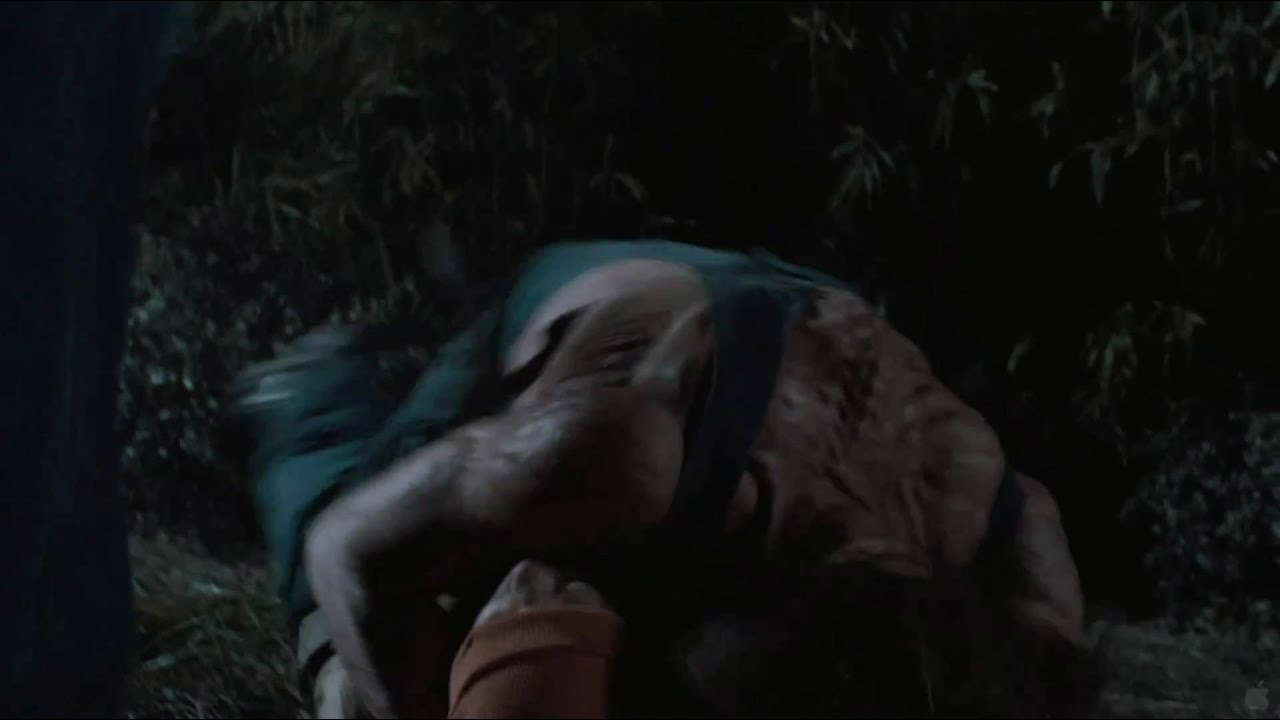 Poster for Hatchet II