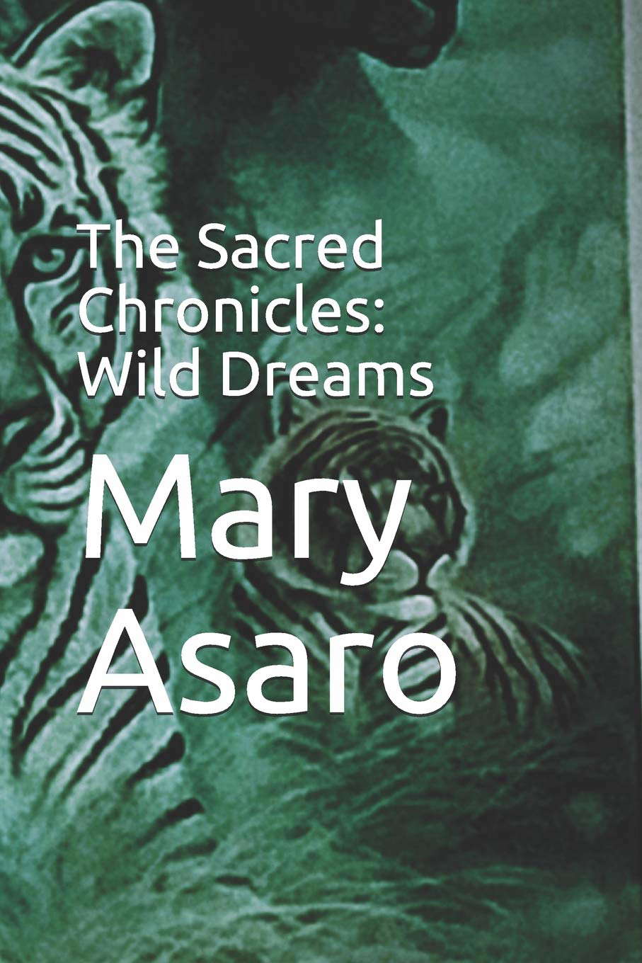 The Sacred Chronicles: Wild Dreams poster