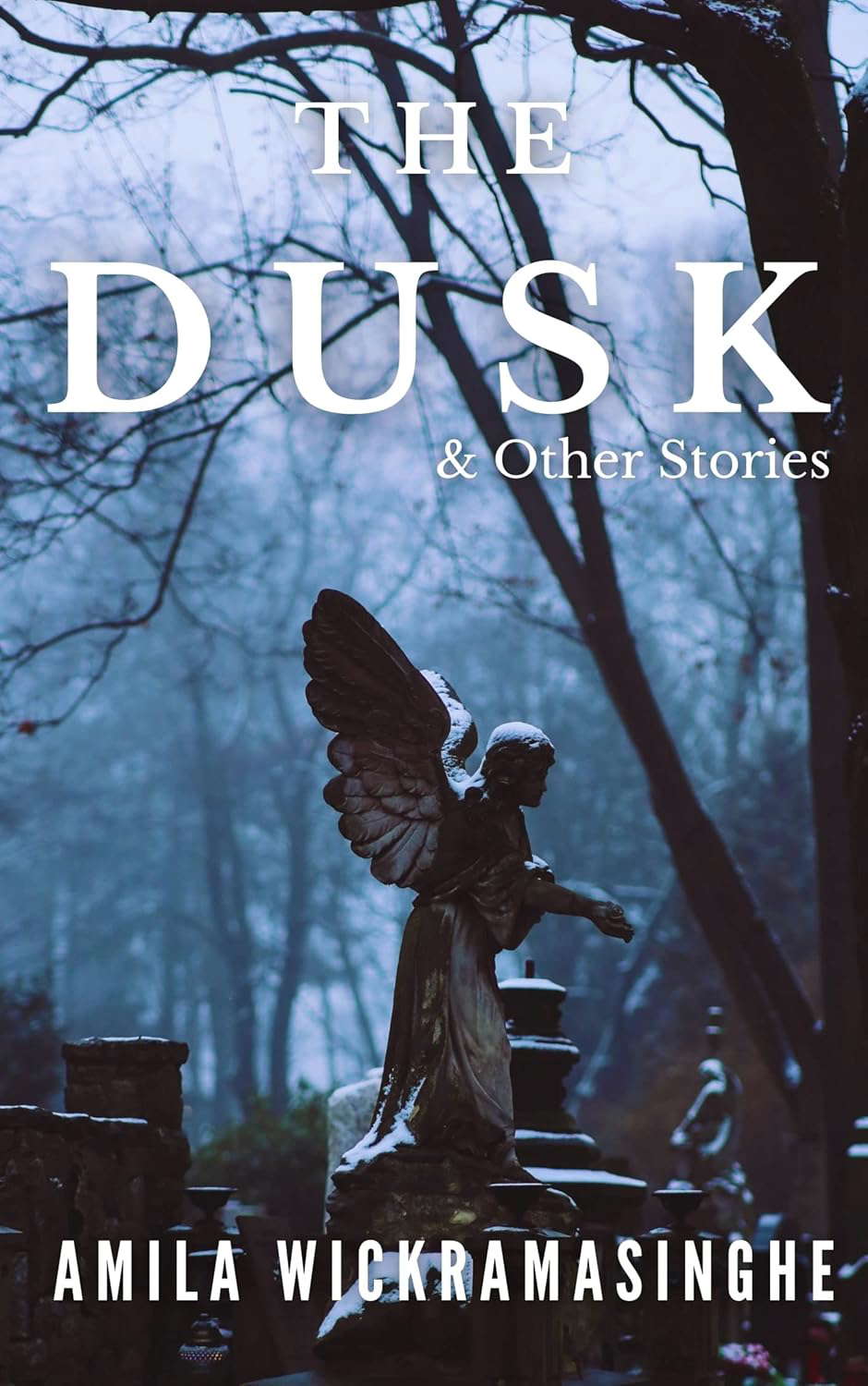 The Dusk & Other Stories poster