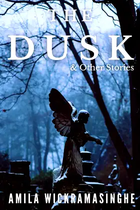 The Dusk & Other Stories poster