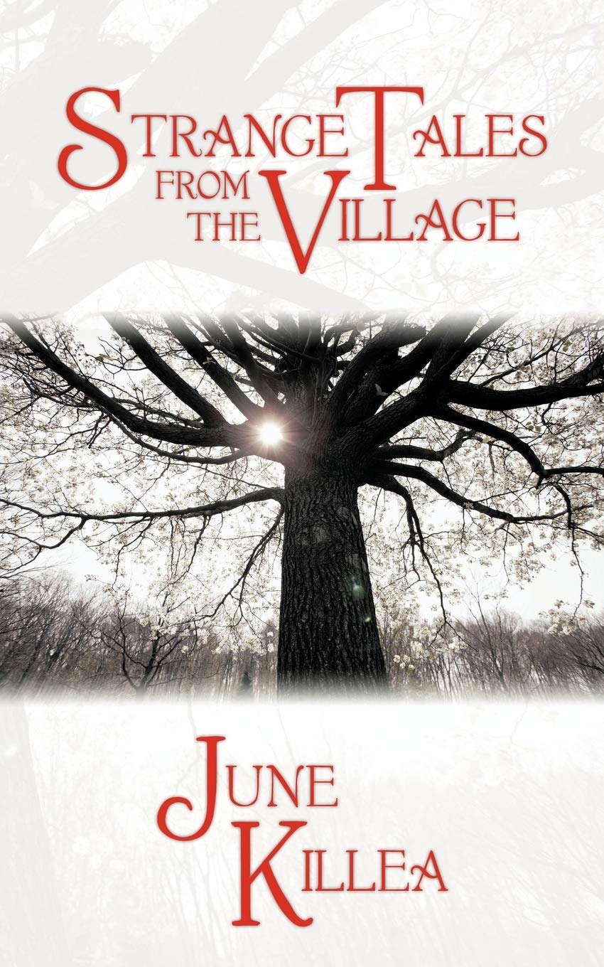 Strange Tales from the Village poster