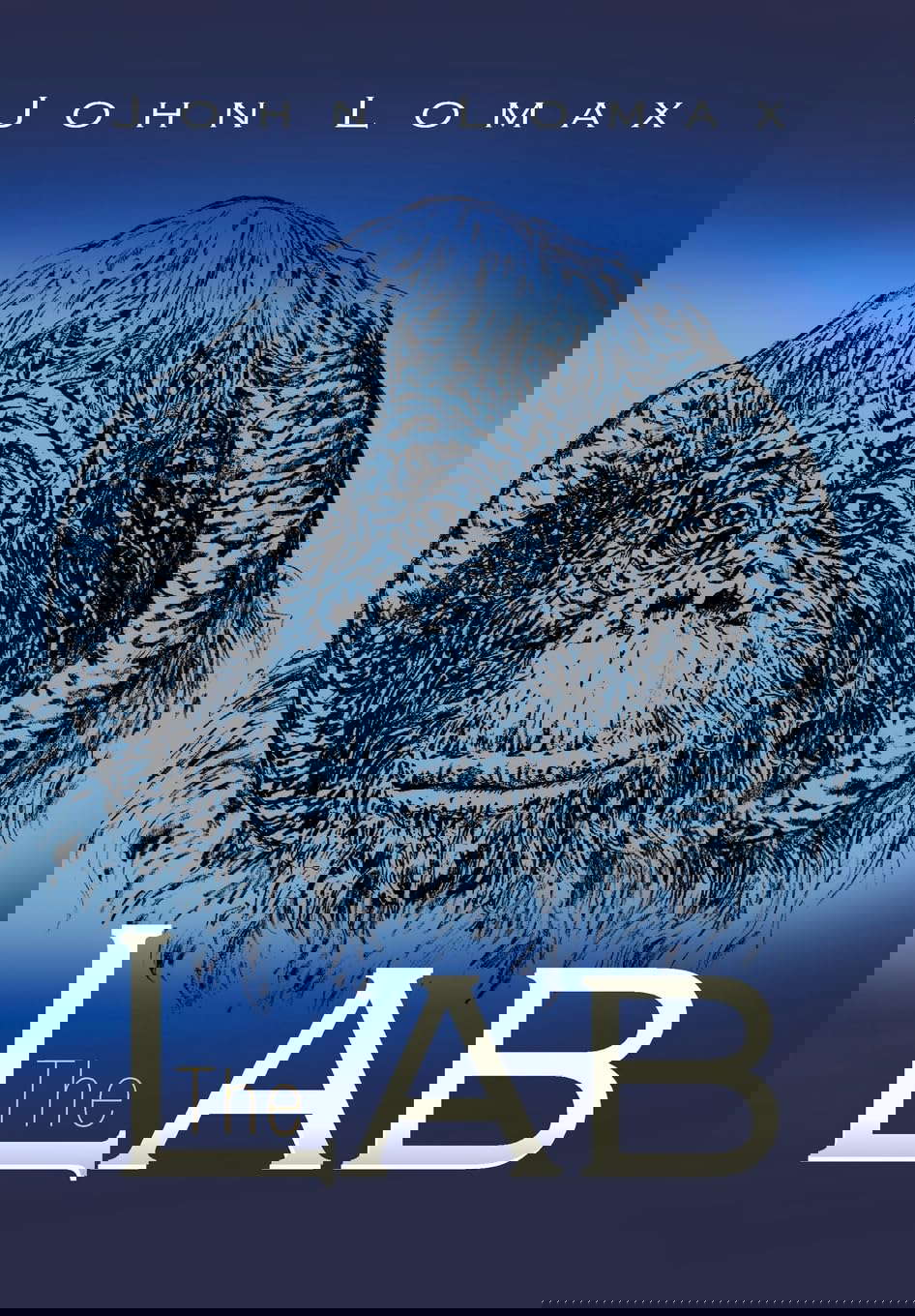 The Lab poster