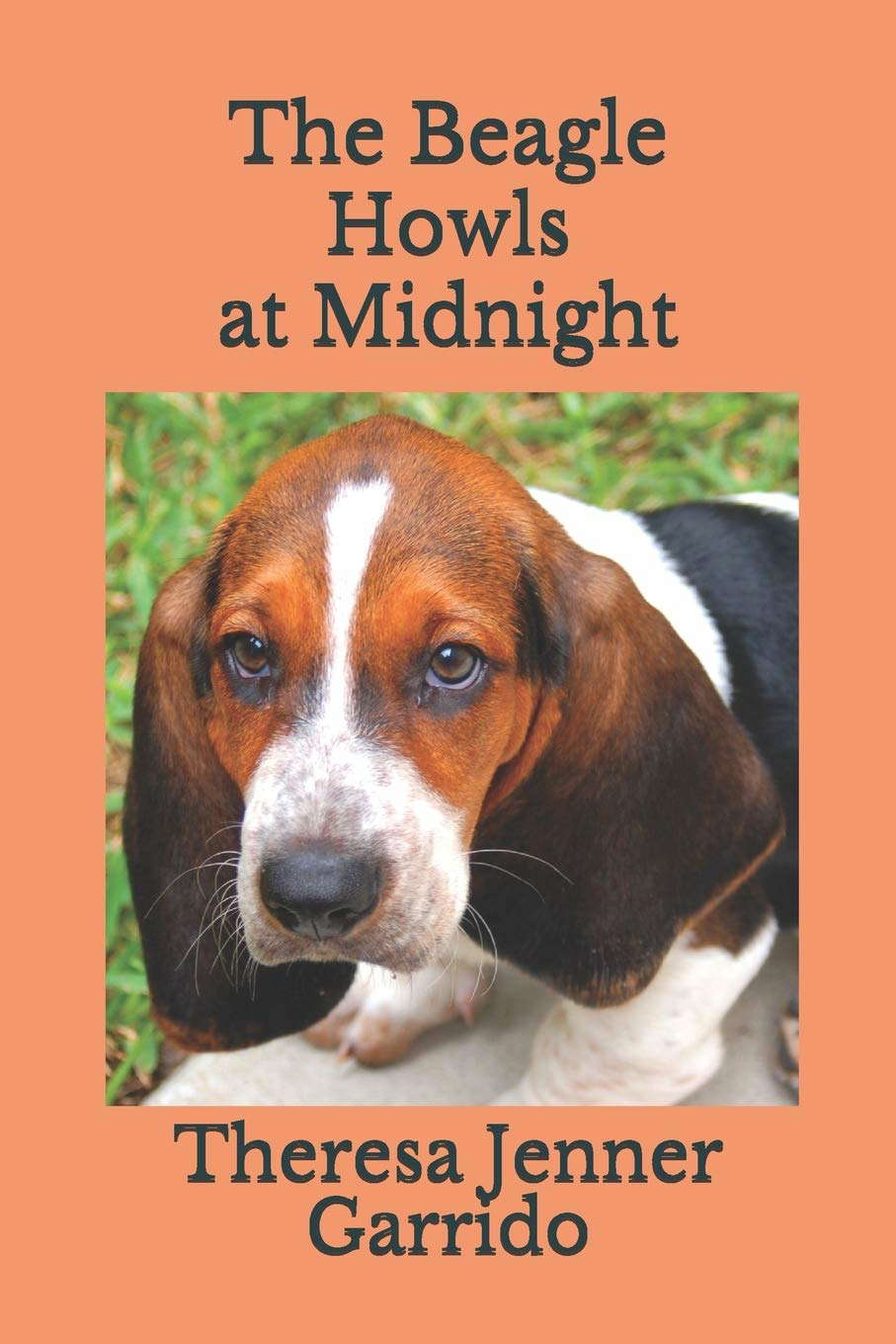 The Beagle Howls at Midnight poster