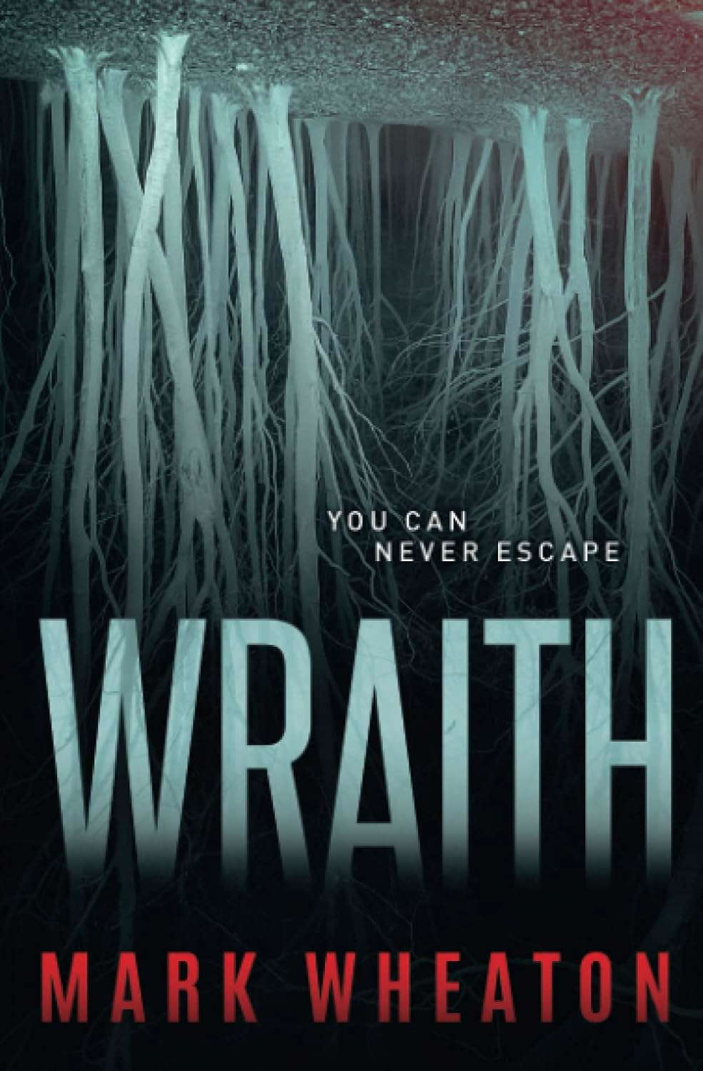 Wraith poster