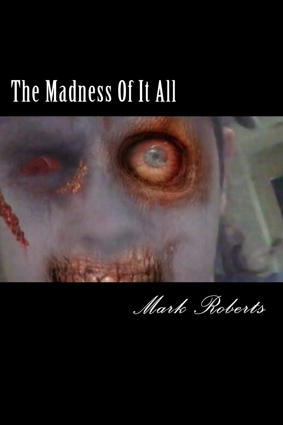 The Madness Of It All poster
