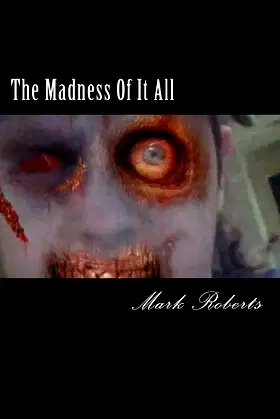 The Madness Of It All poster