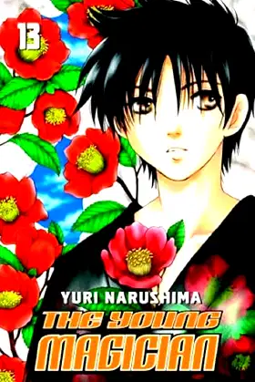 The Young Magician, Vol. 13 poster