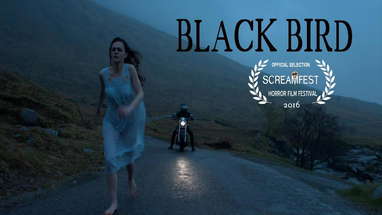 Blackbird | Scary Short Horror Film| Screamfest poster