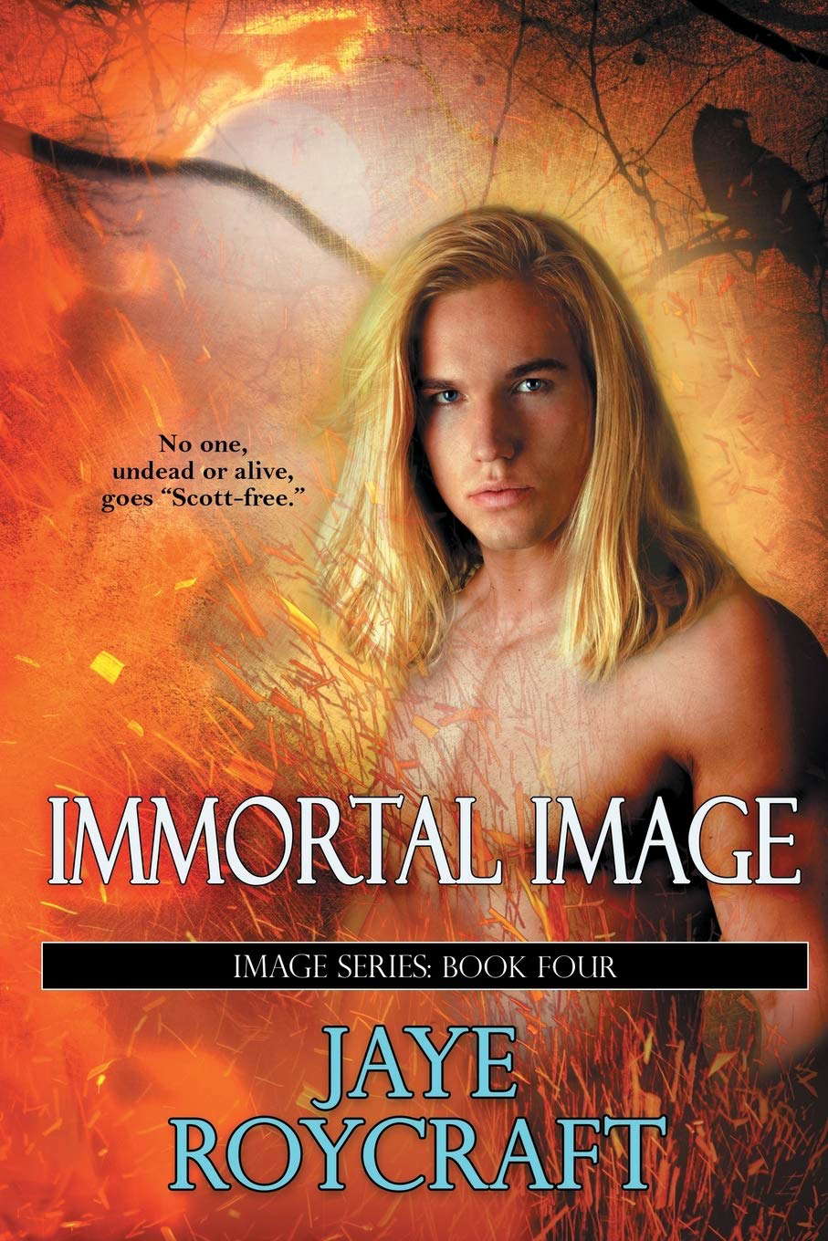 Immortal Image poster