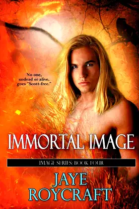 Immortal Image poster