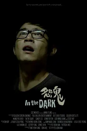 In the Dark poster