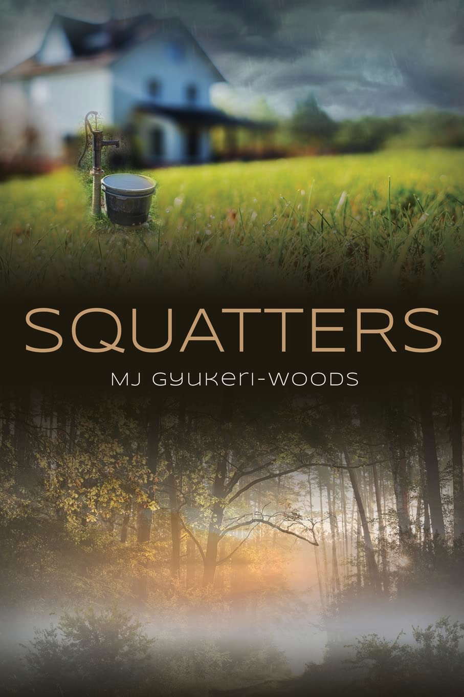 Squatters poster