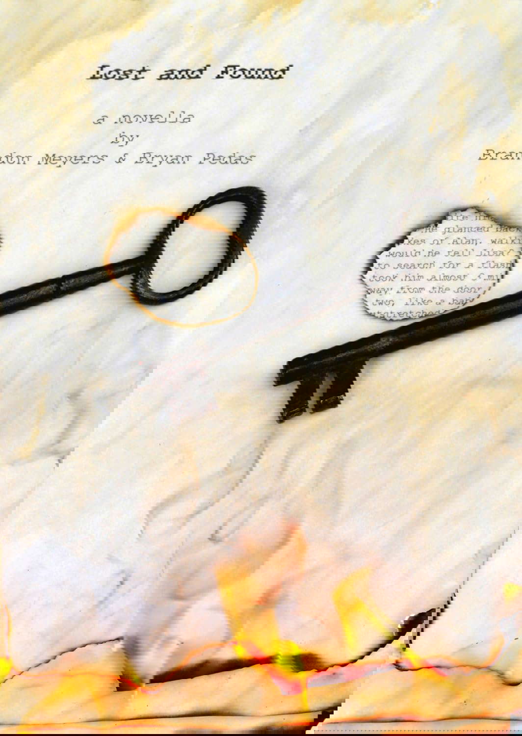 Lost and Found poster