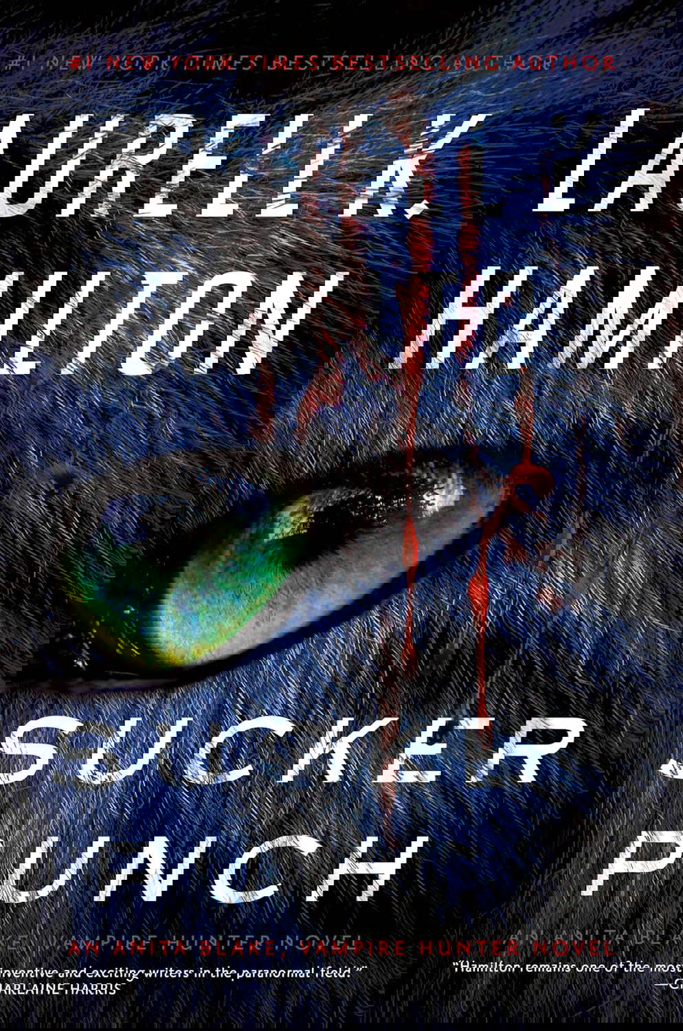 Sucker Punch (Anita Blake, Vampire Hunter) poster