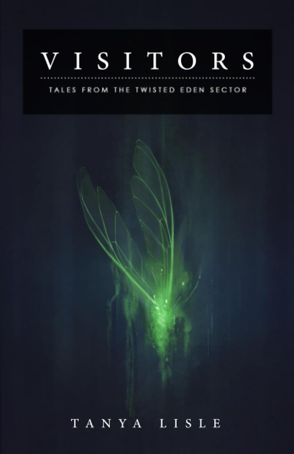 Visitors: A Canadian Supernatural Horror Anthology poster